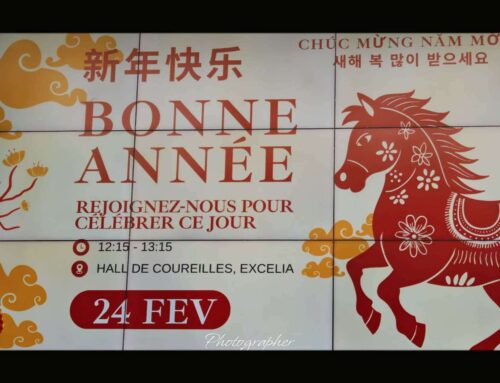 中法文化共庆新春！Excelia拉罗谢尔校区举办2026中国新年庆祝活动