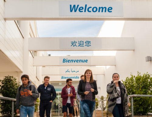 2026Excelia 预科学生专访：从语言提升到专业衔接，留法学子分享真实体验